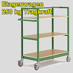 Etagenwagen 250 kg